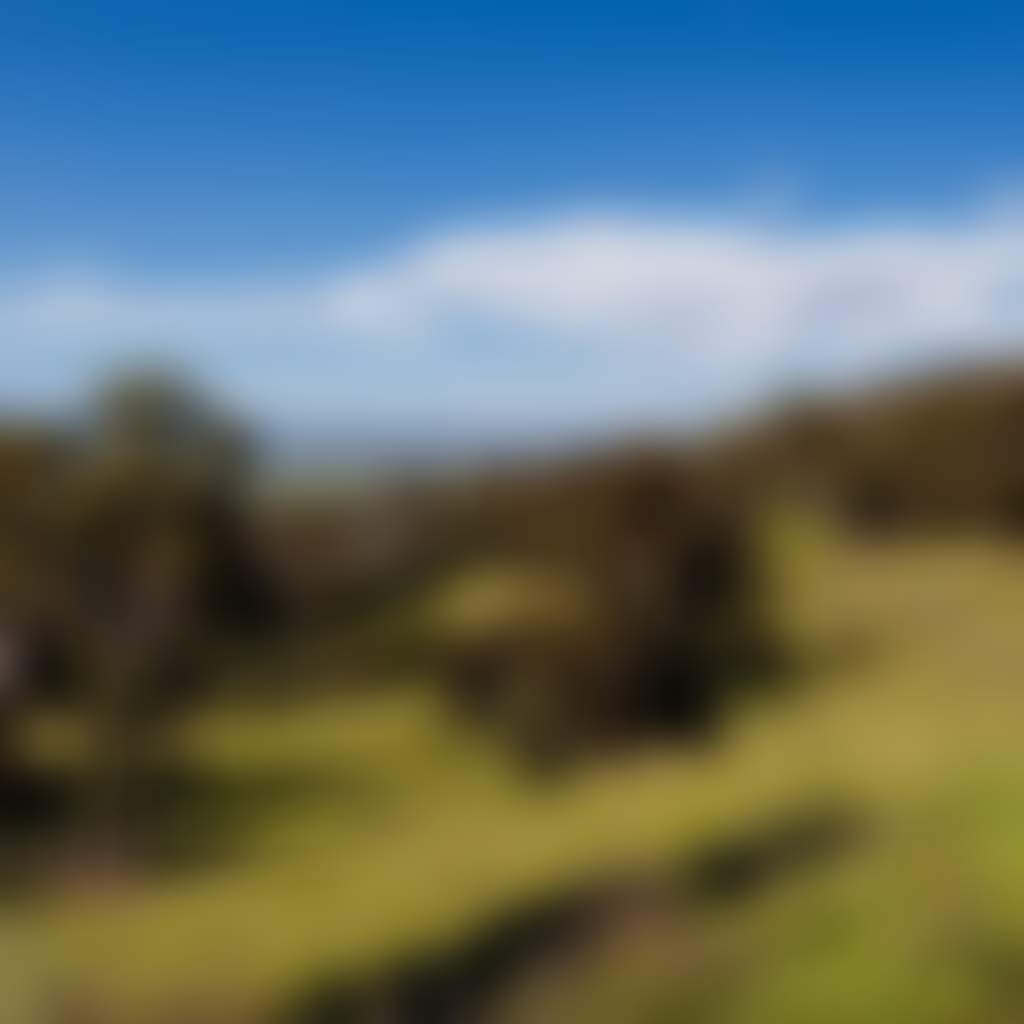 Rolling Hills Bushland Near Trafalgar