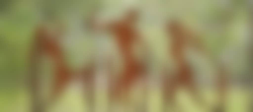1A89Ab160898D2Dab61634B90Fd30C88