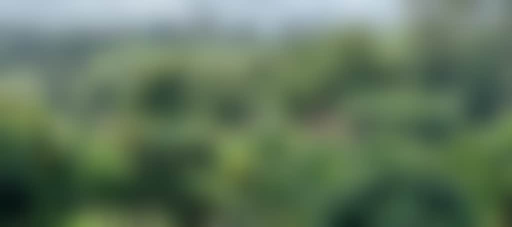 284Ae136Ed488954C4D17B83F2898115