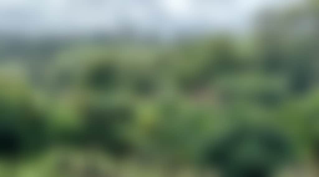 284Ae136Ed488954C4D17B83F2898115