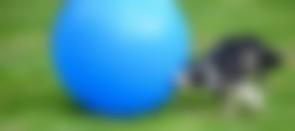 Ee8697C66E8Feac221E3Bcc103B178D0