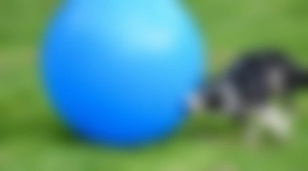 Ee8697C66E8Feac221E3Bcc103B178D0