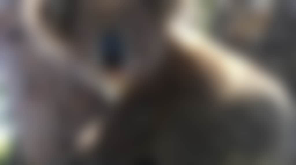 8B8Aeb40F467C1838Df43Bffaa41C256