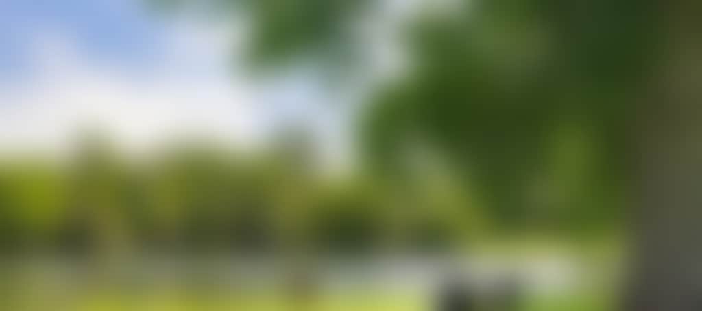 8A3F883C663E786Ec213E6428D794196