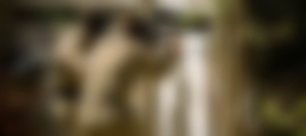 50B37E5Cfdcdcc6Aeef3928850E464D4