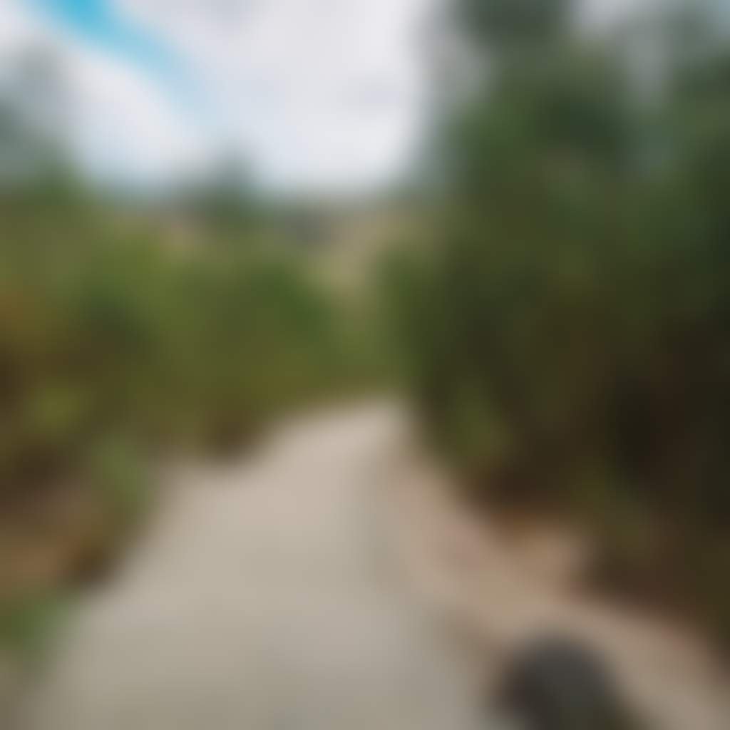Mt Cannibal Flora and Fauna Reserve Walk