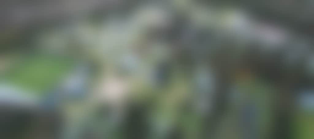 B3Add87069F8E04921696A7131A74A08