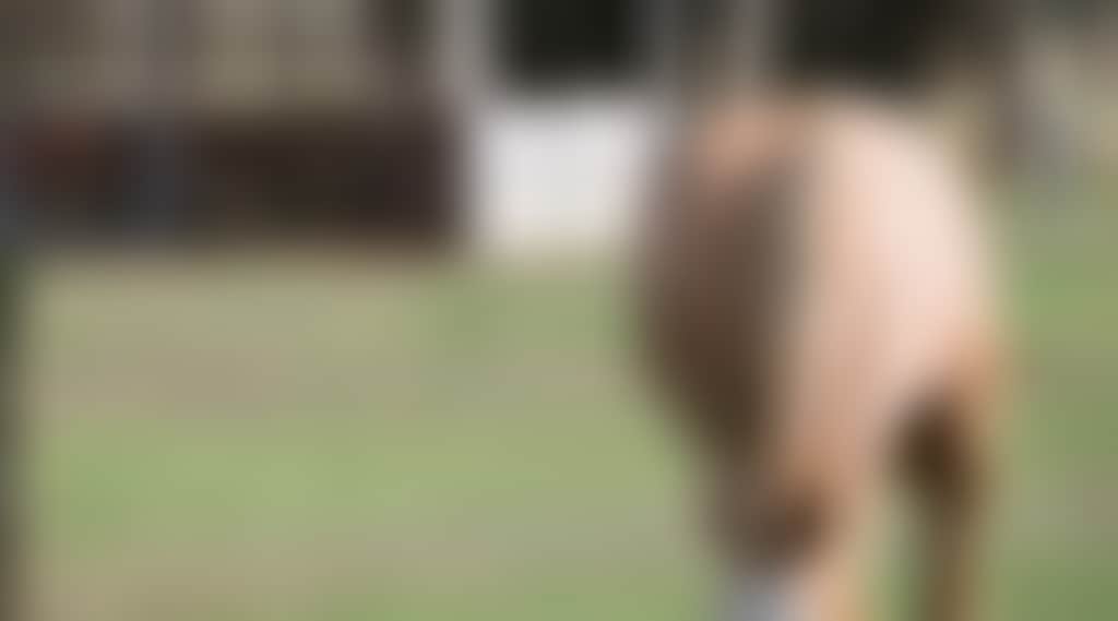 D387A8A544E17D988A1D01253E1Ba963