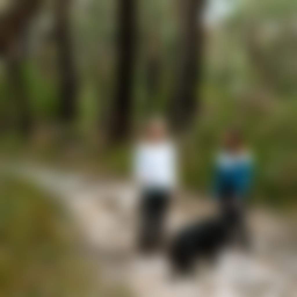 Two people walking a dog surrounded by bushland in Gurdies Nature Conservation Reserve