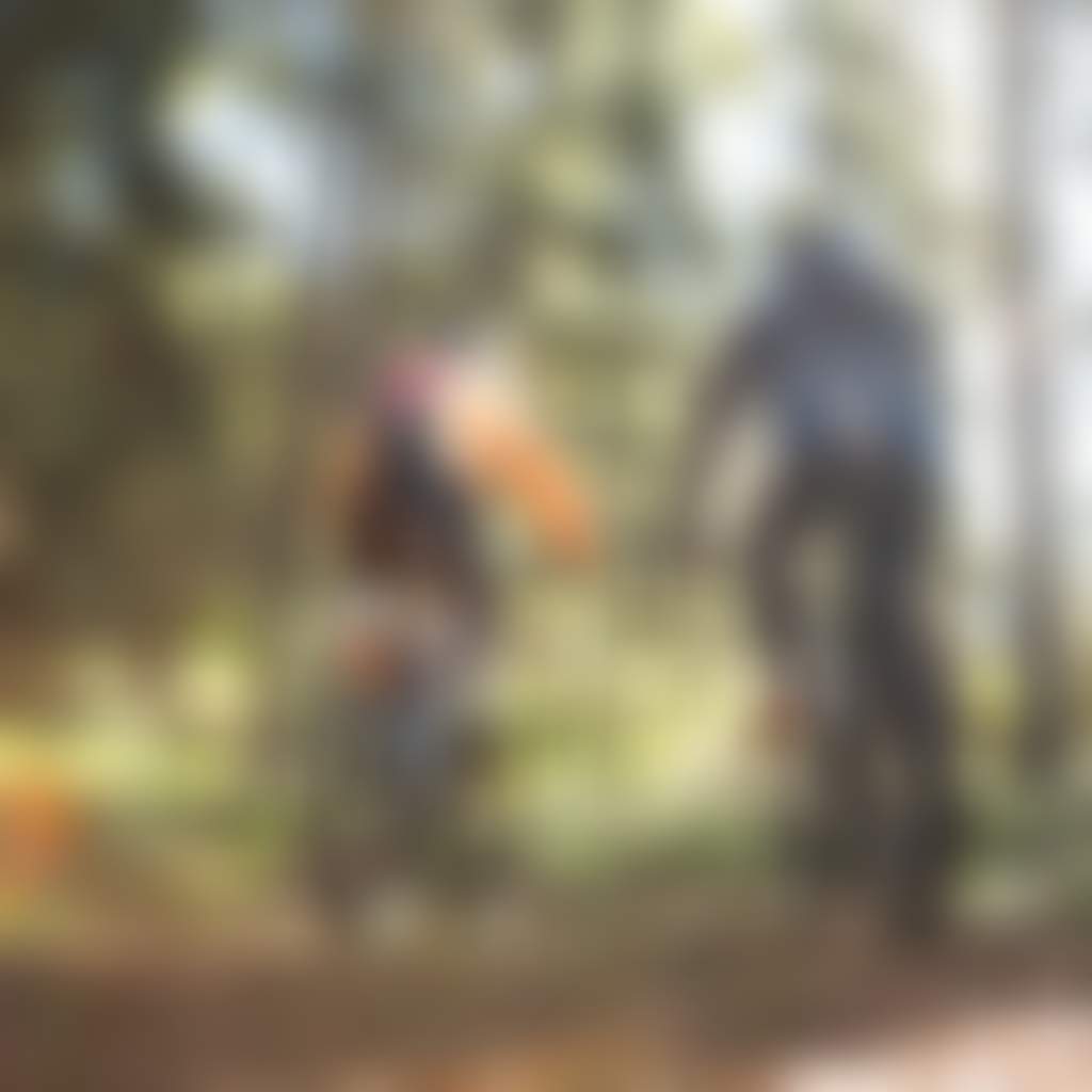 Two Mountain Bikers cycling through a forest