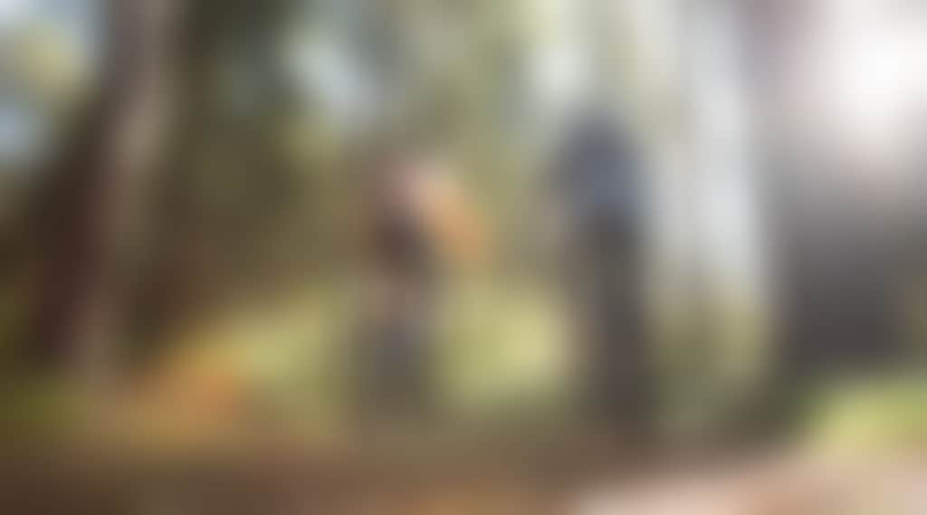 Two Mountain Bikers cycling through a forest