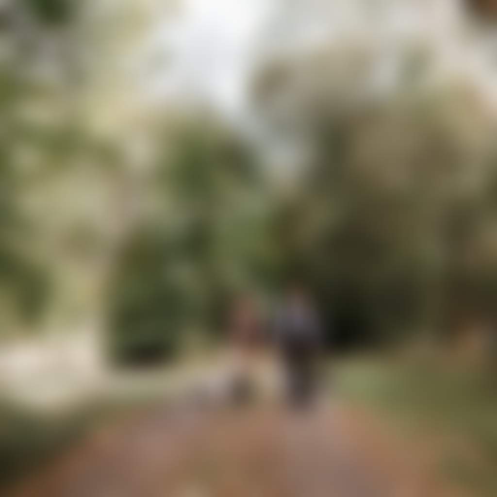 Couple walking 2 dogs through bush at Noojee