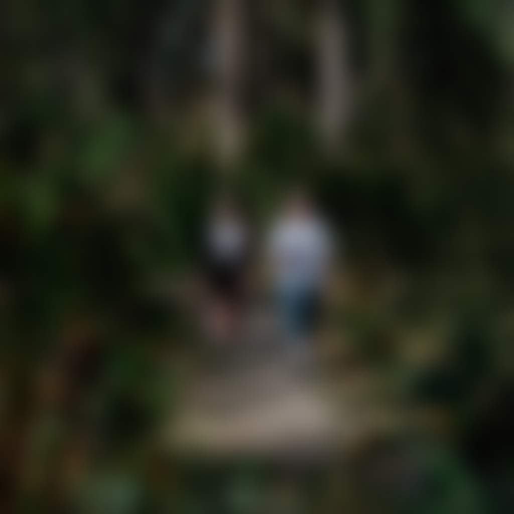 Bruthen Walking Tracks Bruthen couple walking along forest trail