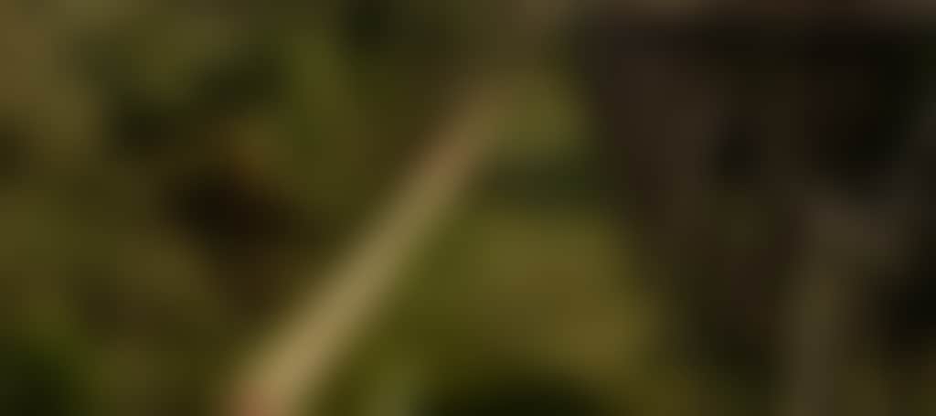 4C3701Af79Fa30600C73004Be02C276D_Cpd141Z