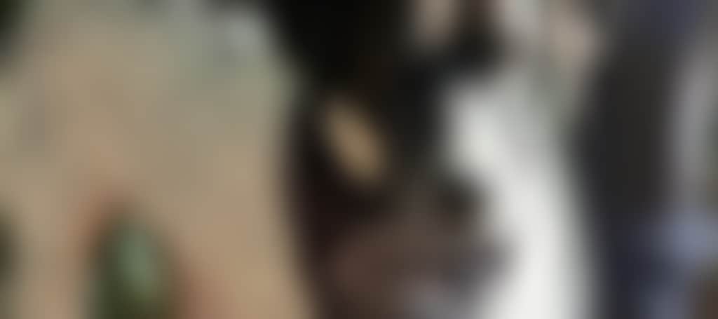 3E38D3900C5812B3D7C1Efc3A79D6E9B