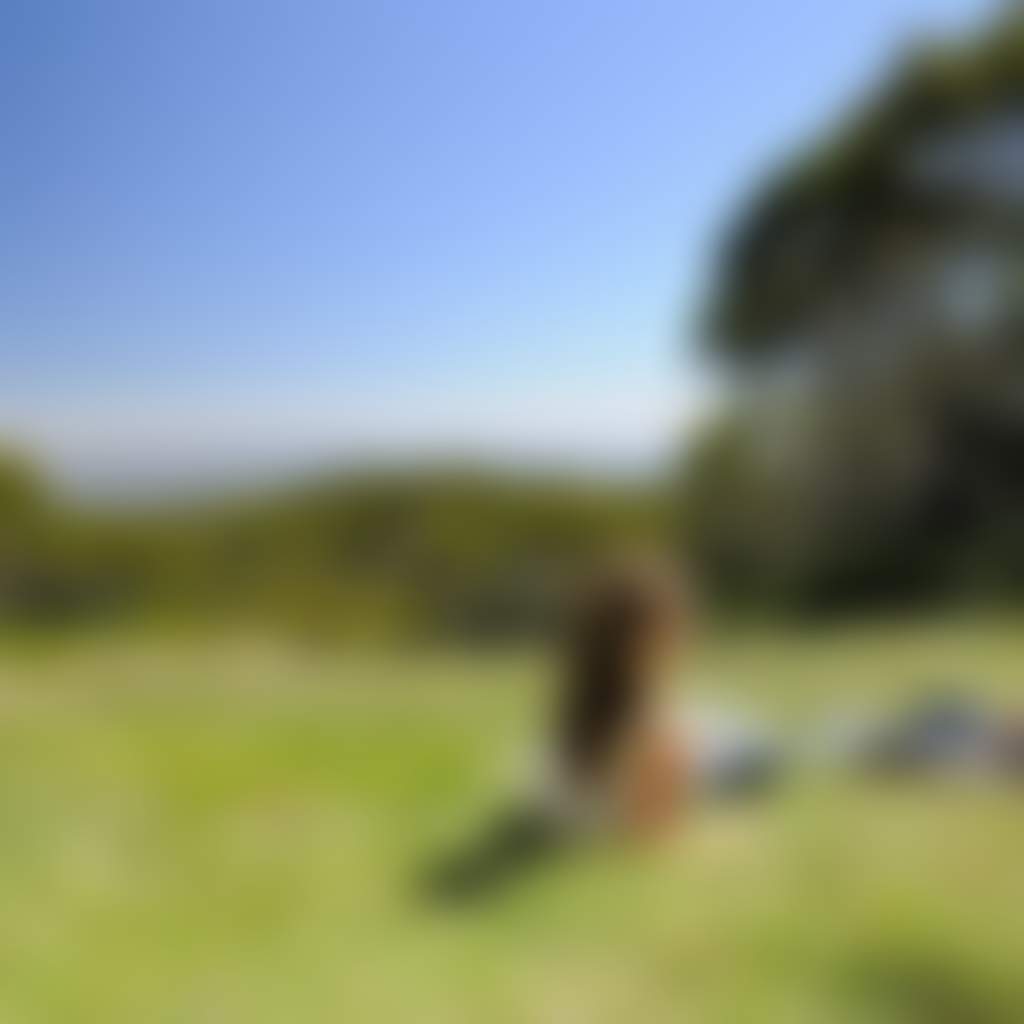 Mt Baw Baw Summer Pair Lying in Grass