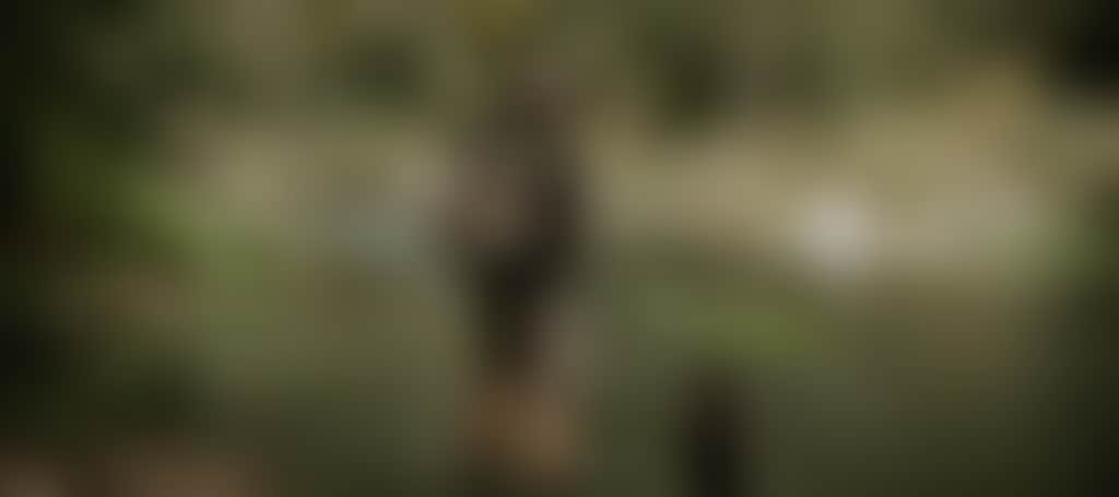 54713A64682D32253F9C94058658D6Df