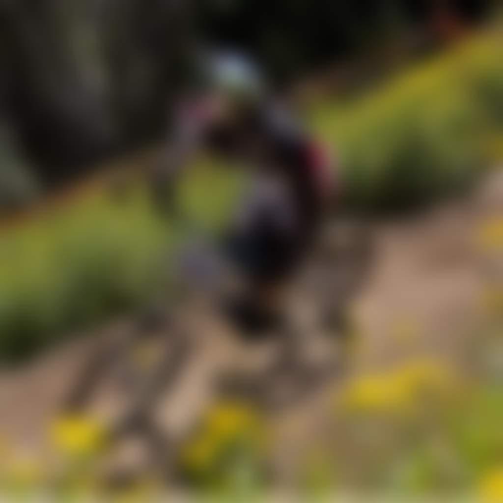 Mount Baw Baw mountain bike trail bike rider riding through spring wildflowers