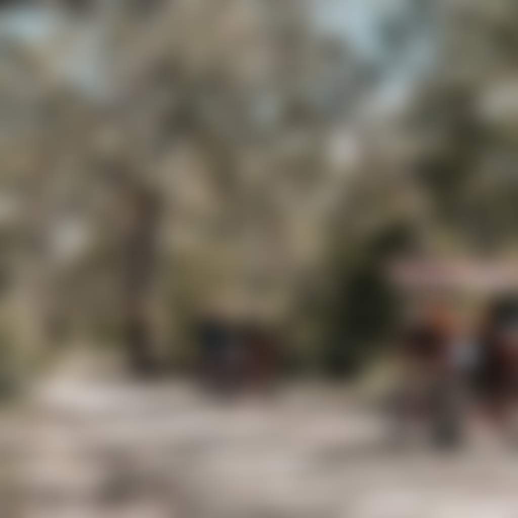 Raymond Island families in 4 wheel carts