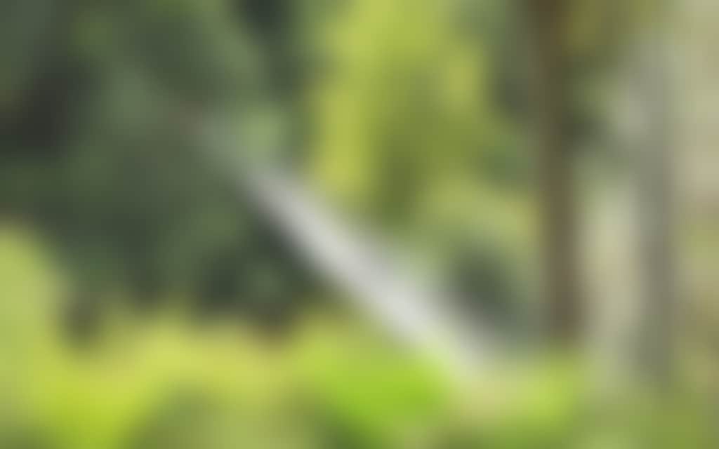 Couple on Swing Bridge in Tarra Bulga NP