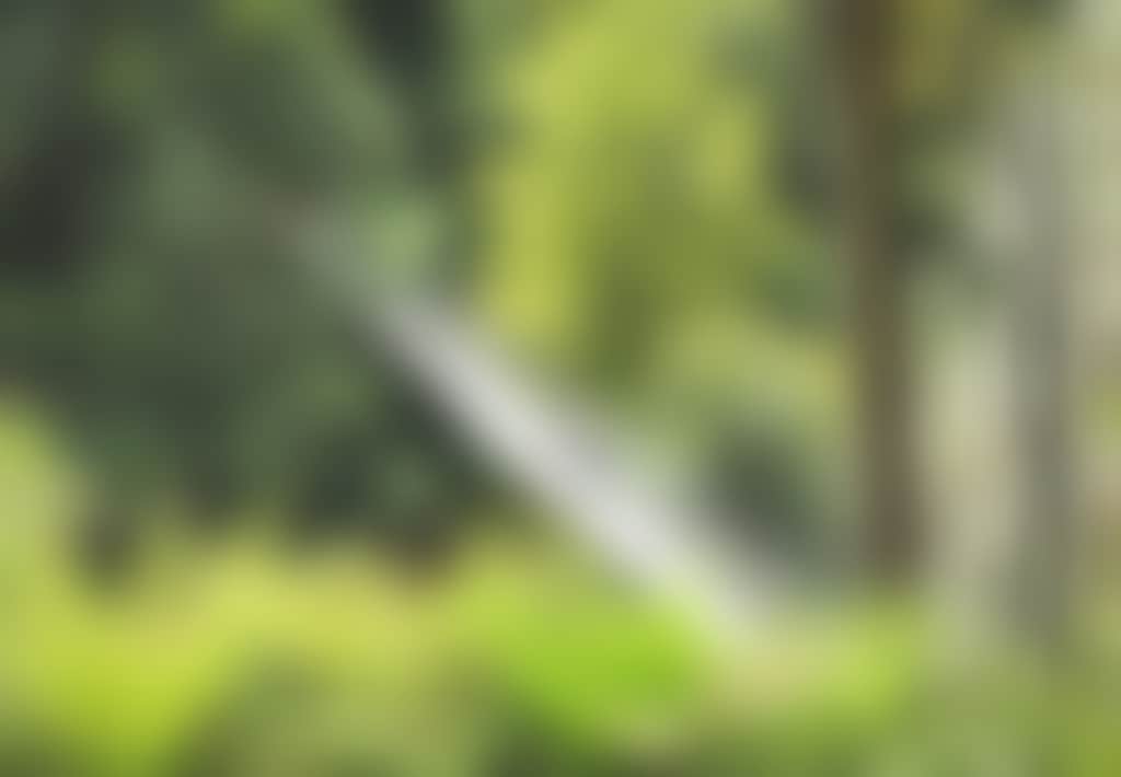 Couple on Swing Bridge in Tarra Bulga NP