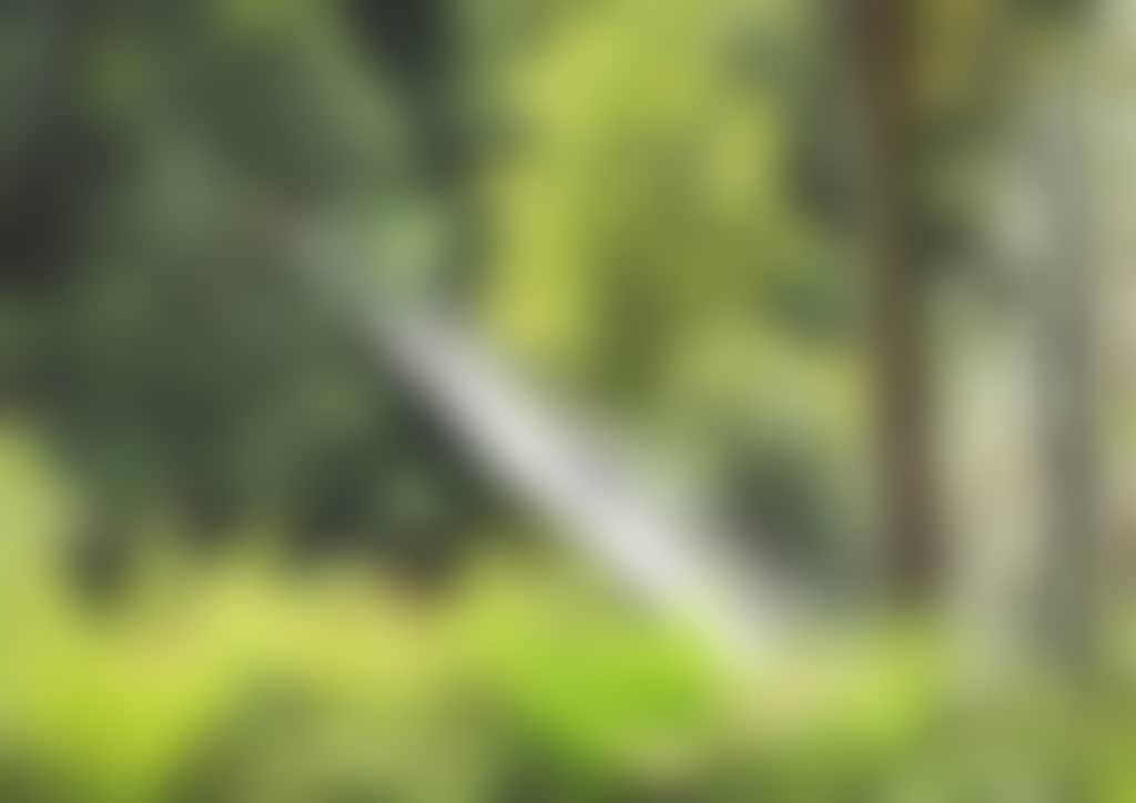 Couple on Swing Bridge in Tarra Bulga NP
