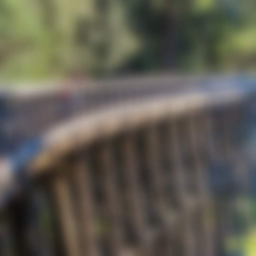 Noojee Family at Trestle Bridge 1resize 191108 035918