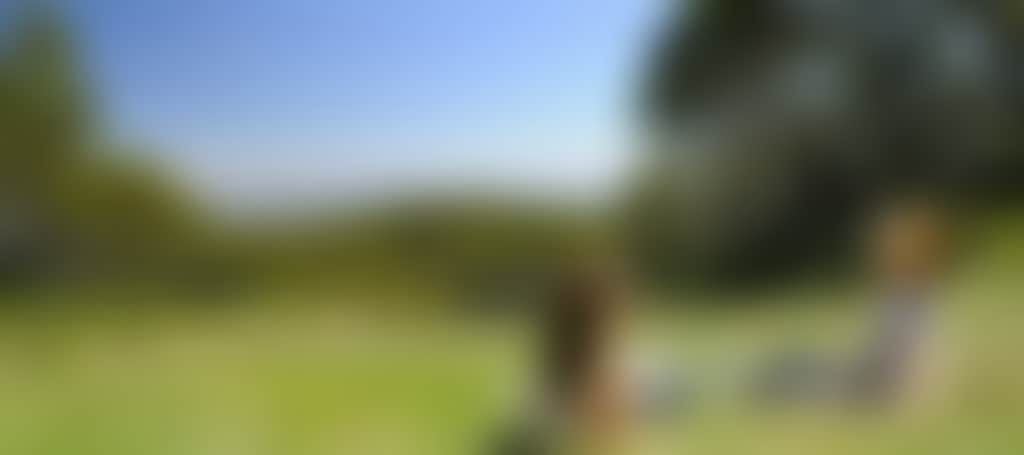 44F1Cafdcb7F6F9D8F5Ed7B9Ab18419B