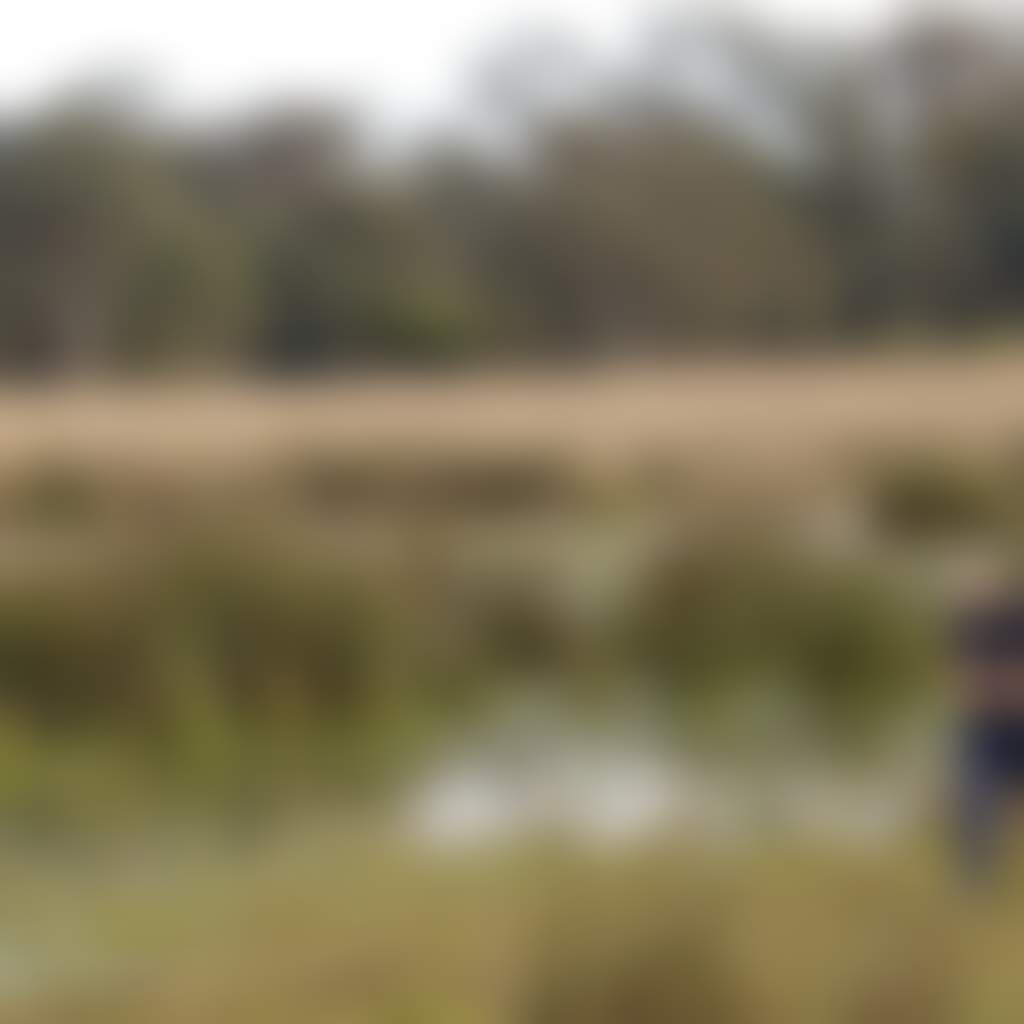 Couple enjoys wetlands Macalister walk