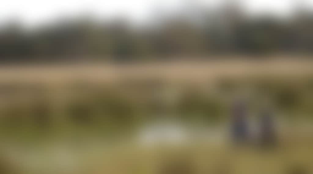 Couple enjoys wetlands Macalister walk