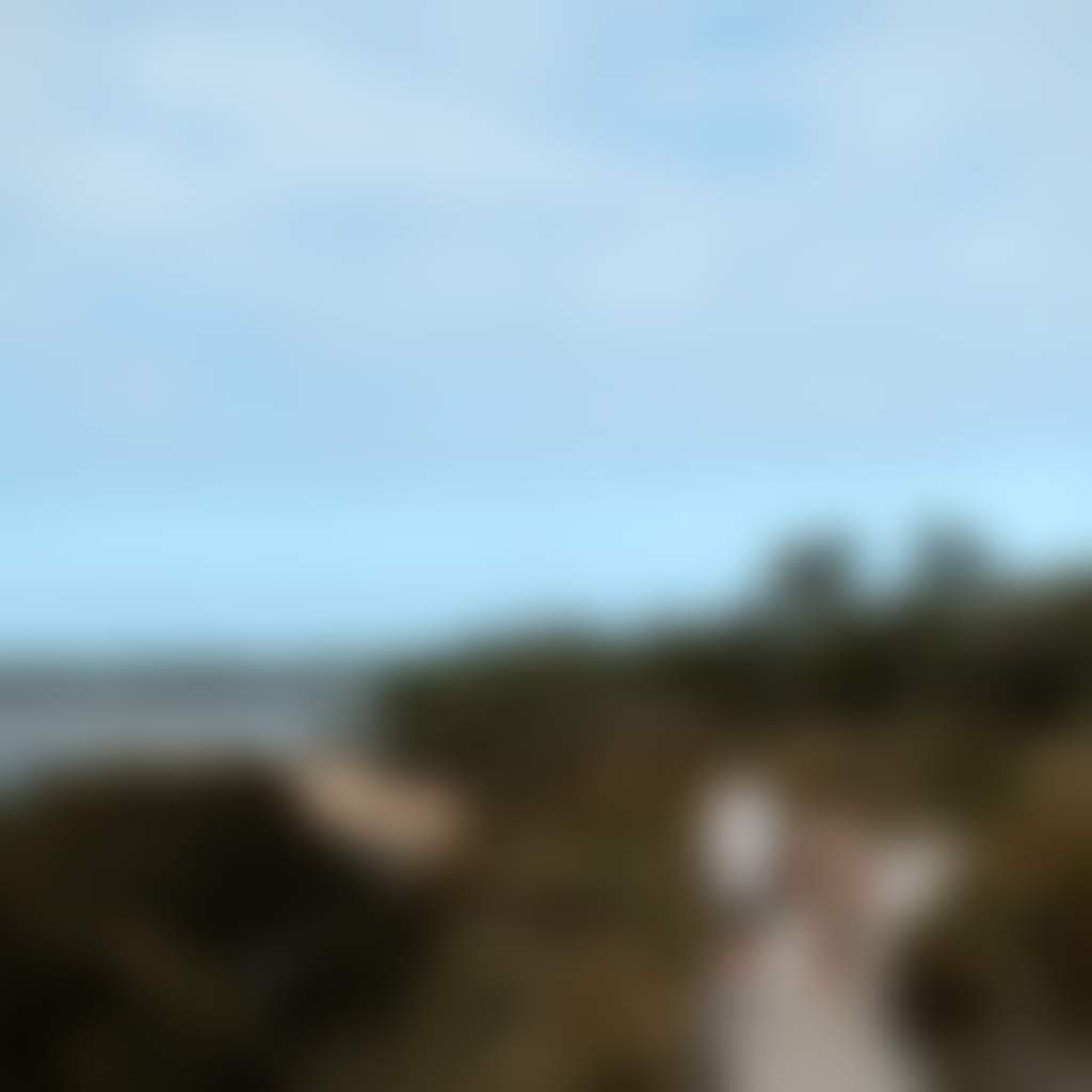 Screw Creek Walk Inverloch couple walking along boardwalk with beach and bush