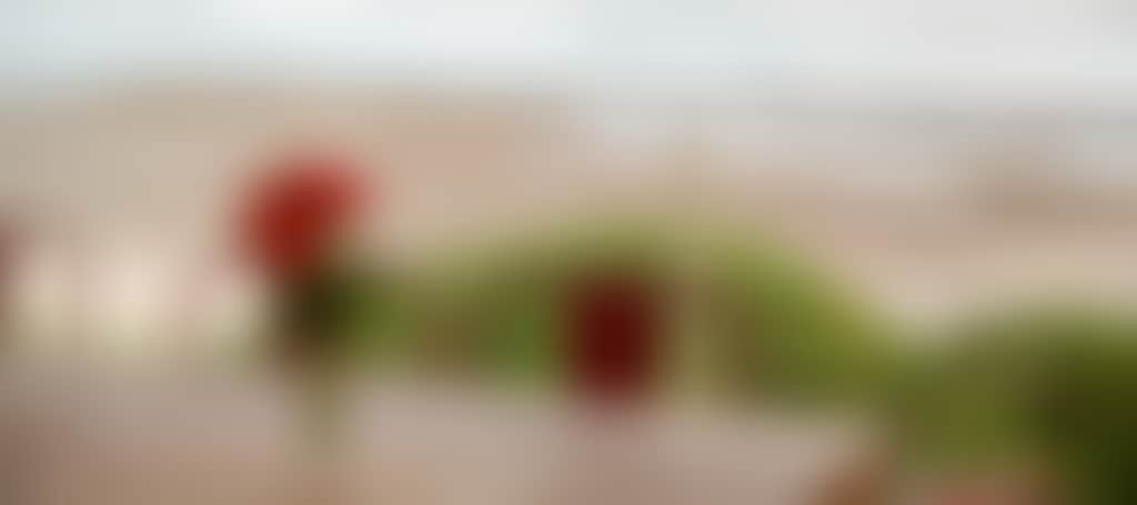 8B799Ecc91092F342F95Ed874Db0Fd04