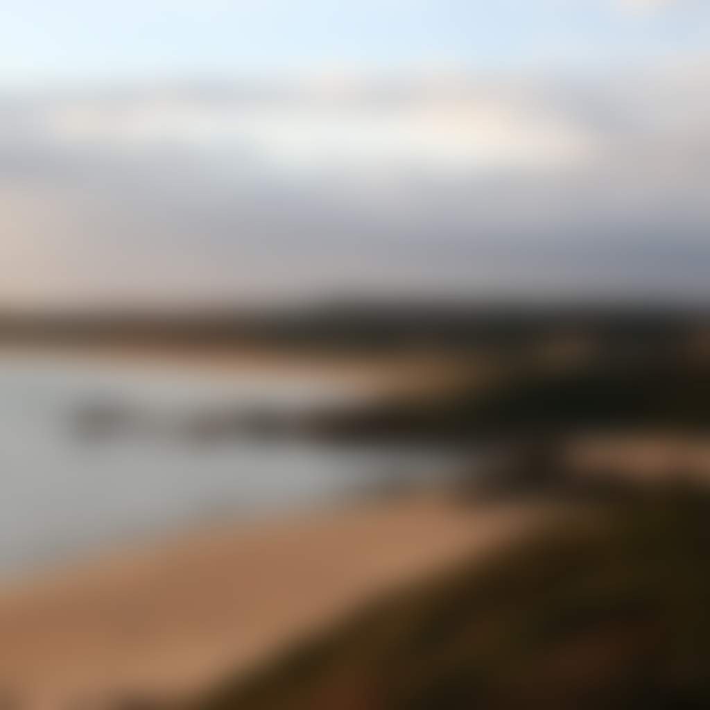 4 WD track beach