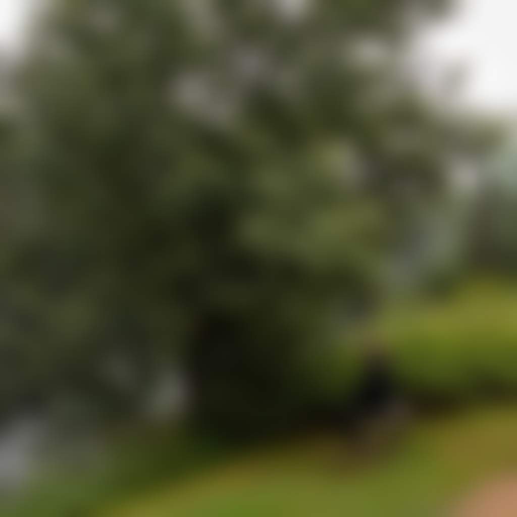 Woman sitting on bench looking at the Mitchell River Bairnsdale