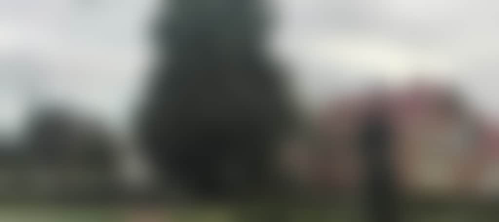 810B381748Aa9Ab1Ba2227D2405F60Bf