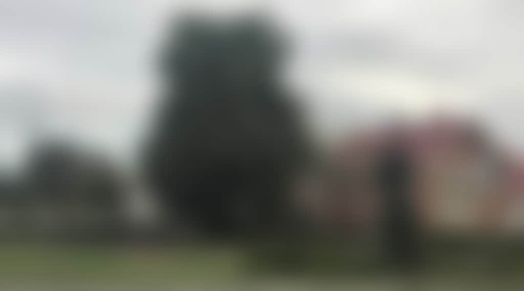 810B381748Aa9Ab1Ba2227D2405F60Bf