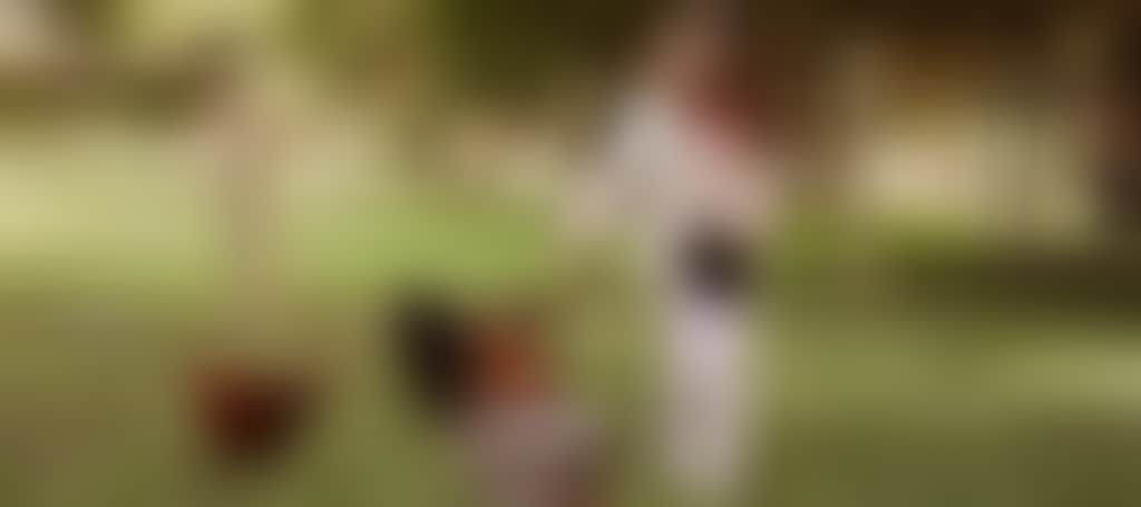 Eight Acres Cottages Lakes Entrance accommodation child feeding chickens on property