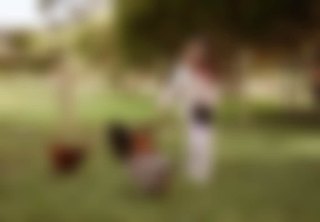 Eight Acres Cottages Lakes Entrance accommodation child feeding chickens on property