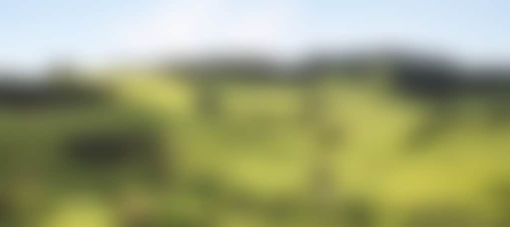 Rolling green hills generic