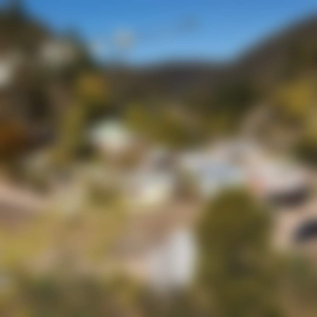 Walhalla township with winter and spring blossoms and wattle