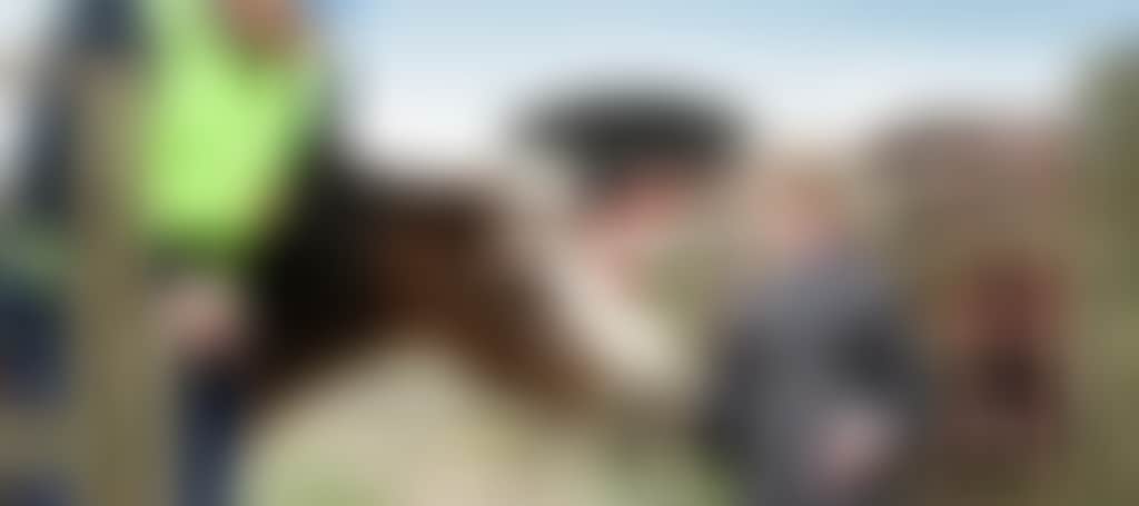 Original__9123123_Park_Scm_Retouched1_Wfbu7Q5