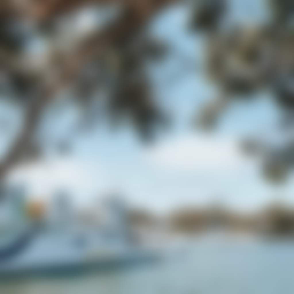 Raymond Island ferry under gum tree