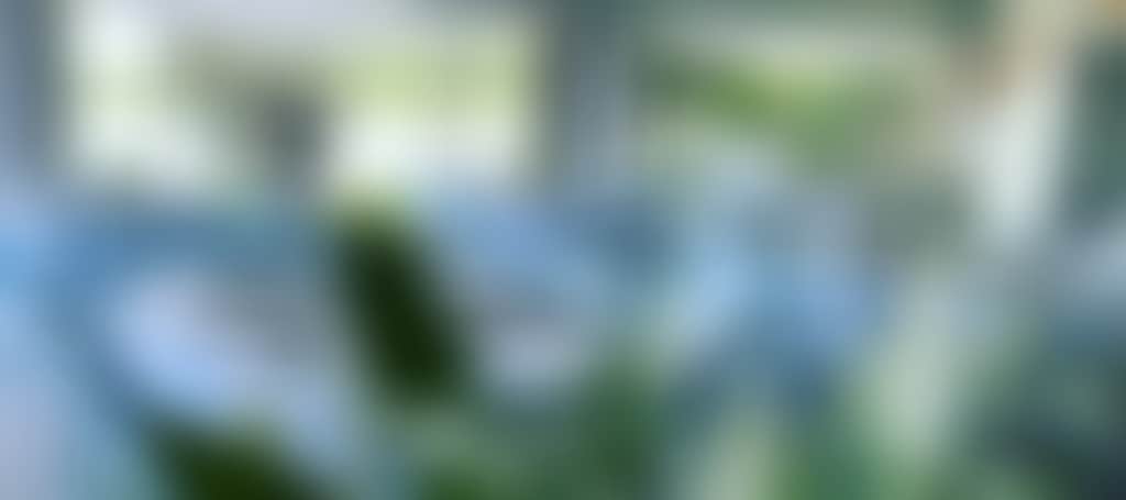 A442D8Cda8600232D7F5Ae3Fbf87Dbad