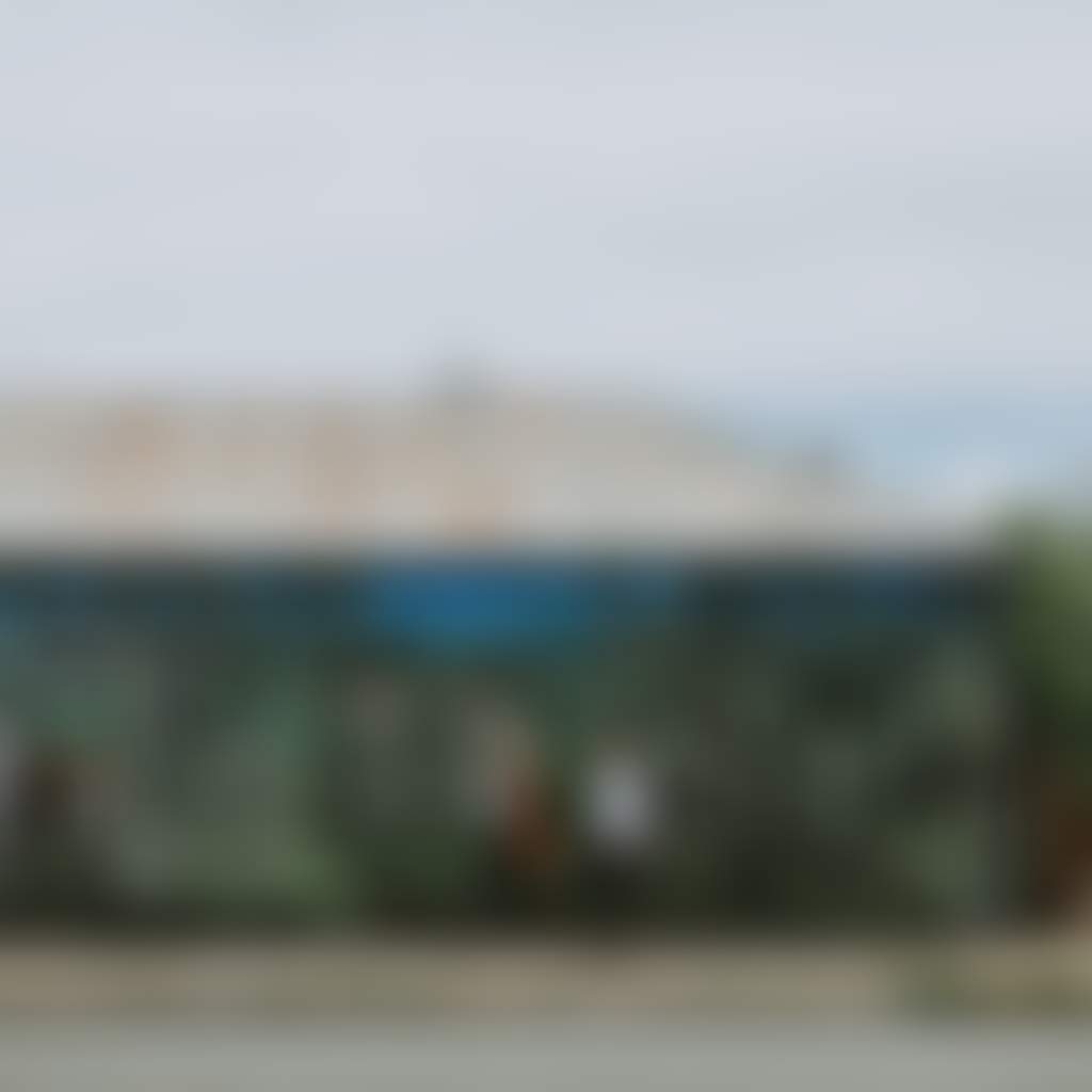 Briagolong streetscapes murals and street art cows