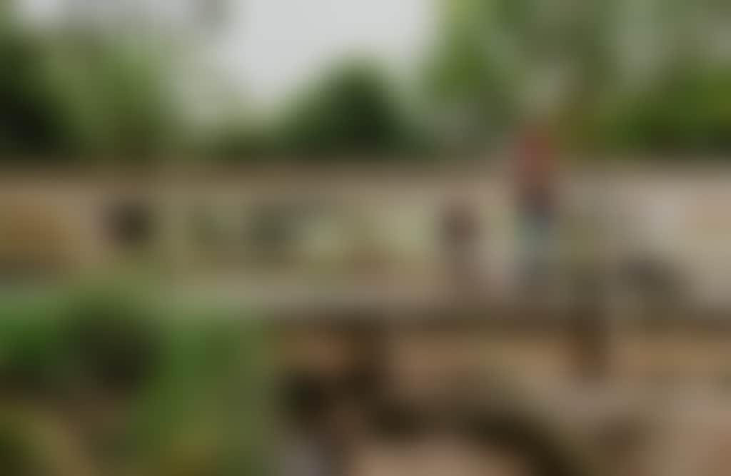 Drouin Civic Park family on bridge watching creek