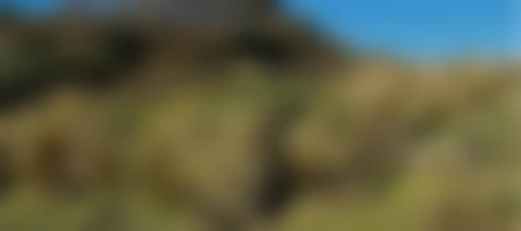 904085C74C422D57646A28469844E09B