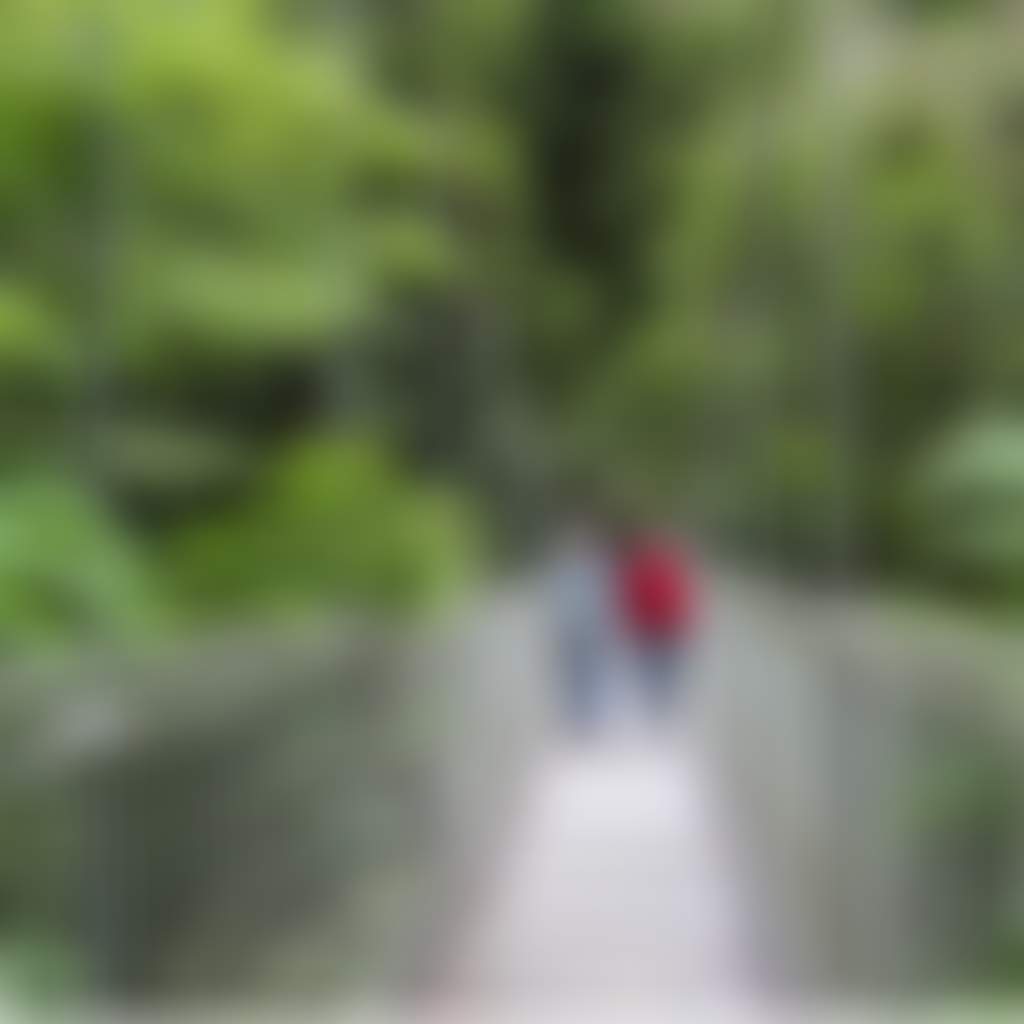 Couple Walking Across Swing Bridge in Tarra Bulga NP