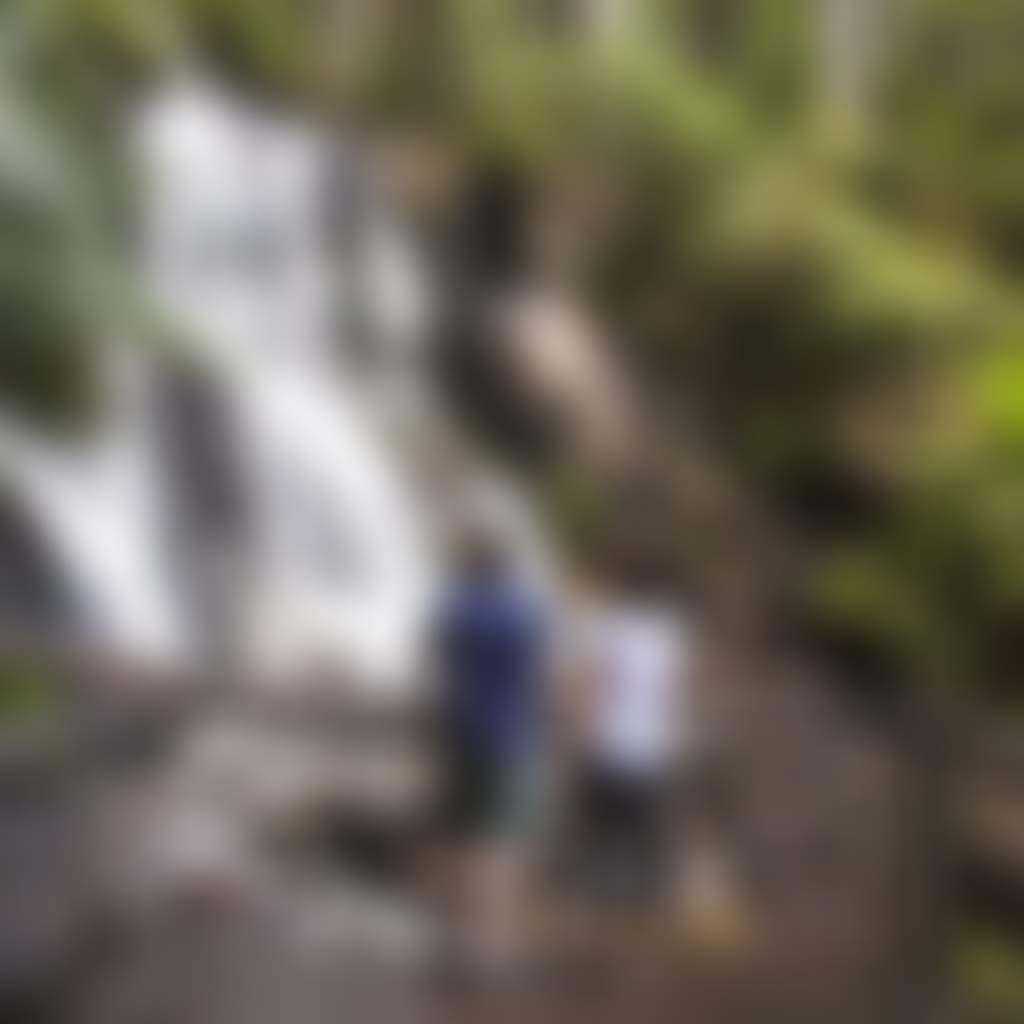 Couple at Lookout at Toorongo Falls on viewing platform with ferns