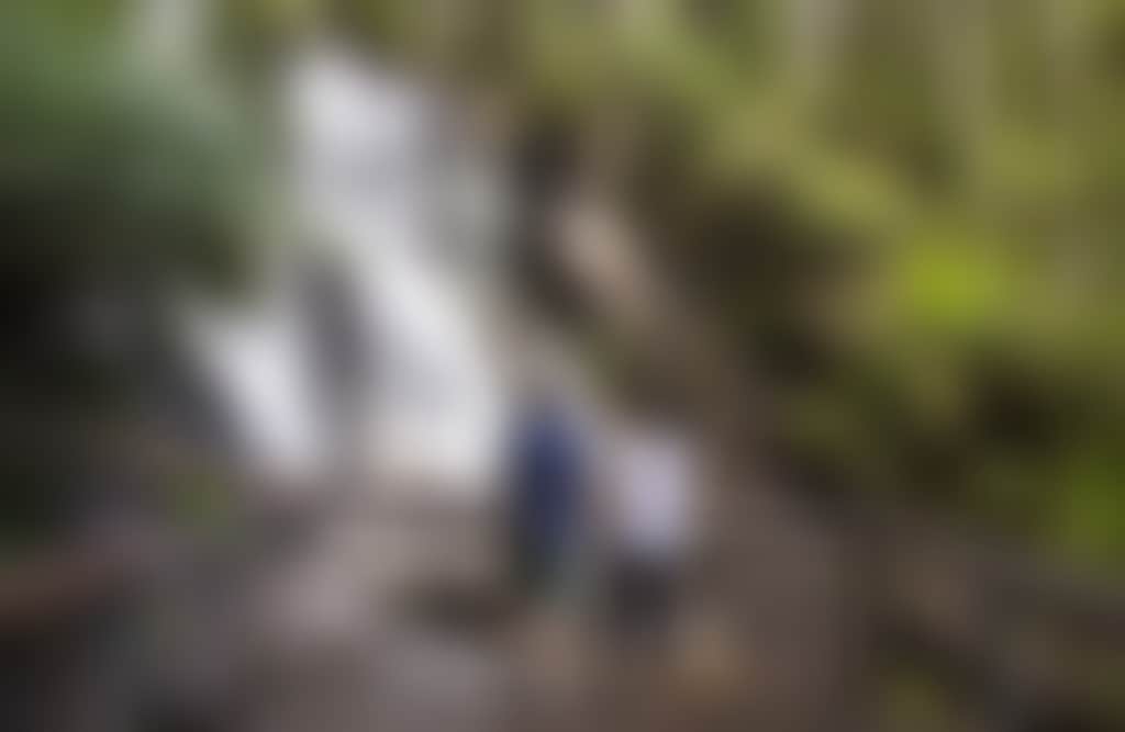 Couple at Lookout at Toorongo Falls on viewing platform with ferns