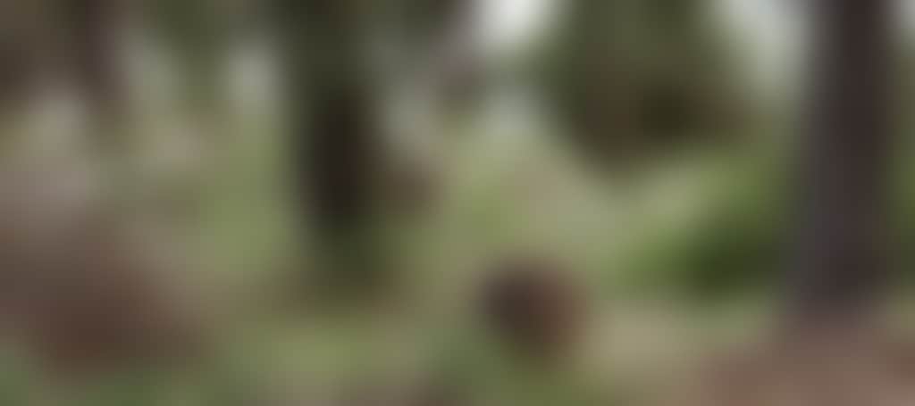 C26Dd48656425A71E8B8Dae56F23F8Fc
